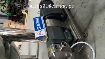 Máquina industrial da bomba giratória elétrica do aço de transferência do azeite do produto comestível da engrenagem móvel